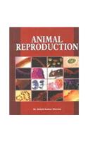 Animal Reproduction