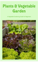 Plants & Vegetable Garden