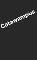 Catawampus