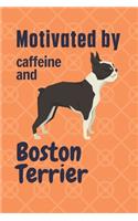 Motivated by caffeine and Boston Terrier