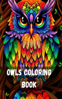 Owls Coloring Book