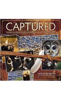 Captured: Lessons from Behind the Lens of a Legendary Wildlife Photographer(Voices That Matter)