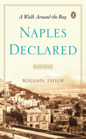 Naples Declared: A Walk Around the Bay(English)