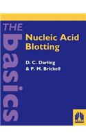 Nucleic Acid Blotting