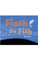 Flash the Fish