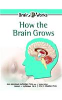 How the Brain Grows