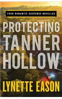 Protecting Tanner Hollow