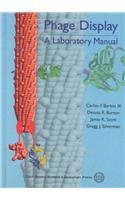 Phage Display
