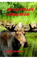 Adirondack Sasquatch