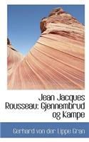 Jean Jacques Rousseau: Gjennembrud Og Kampe