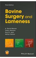 Bovine Surgery and Lameness