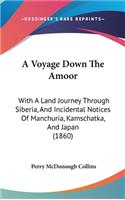 A Voyage Down the Amoor