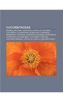 Cucurbitaceae: Abobra, Bryonia, Cayaponia, Citrullus, Cucumis, Cucurbita, Cyclanthera, Ecballium, Lagenaria, Momordica, Sechium(Spanish)