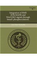 Integration of BMP