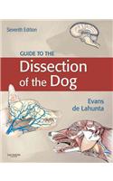 Guide to the Dissection of the Dog