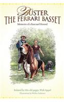 Buster the Ferrari Basset