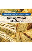 Turning Wheat Into Bread