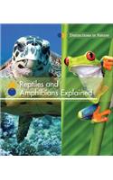 Reptiles and Amphibians Explained