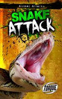 Snake Attack: (Animal Attacks)