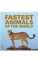 Fastest Animals Of The World