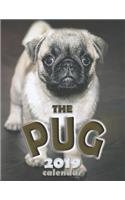 The Pug 2019 Calendar