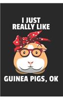 Meerschweinchen Notizbuch