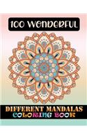 100 Wonderful Different Mandalas Coloring Book