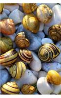 Snail Notebook