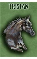Watercolor Mustang Tristan