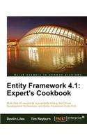 Entity Framework 4.1