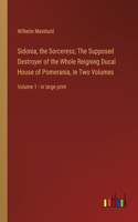 Sidonia, the Sorceress; The Supposed Destroyer of the Whole Reigning Ducal House of Pomerania, In Two Volumes