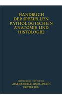 Atmungswege und Lungen