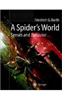 Spider's World
