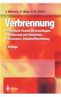 Verbrennung: Physikalisch-Chemische Grundlagen, Modellierung Und Simulation, Experimente, Schadstoffentstehung