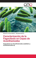 Caracterización de la Fagocitosis en Cepas de Acanthamoeba