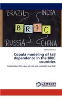 Copula modeling of tail dependence in the BRIC countries