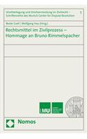 Rechtsmittel Im Zivilprozess - Hommage an Bruno Rimmelspacher