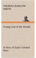 Young Lion of the Woods A Story of Early Colonial Days