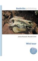 Wild Boar