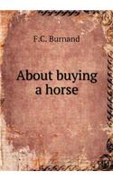 About Buying a Horse