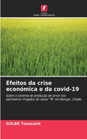 Efeitos da crise económica e da covid-19