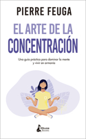 Arte de la Concentracion