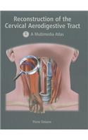 Reconstruction of the Cervical Aerodigestive Tract