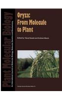 Oryza: From Molecule to Plant