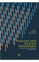 Silicon and Silicide Nanowires