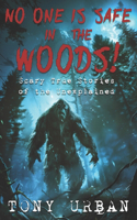 No One is Safe In the Woods