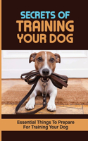 Secrets Of Training Your Dog