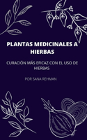 Plantas Medicinales a Hierbas: Curación Más Eficaz Con El USO de Hierbas