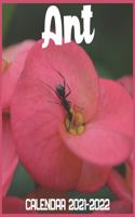 Ant Calendar 2021-2022: April 2021 Through December 2022 Square Photo Book Monthly Planner Ant, small calendar