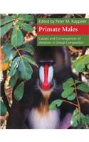 Primate Males